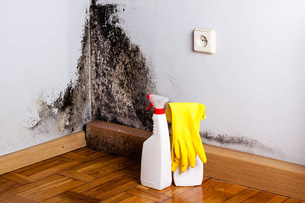 Water Damage Restoration in Prices Fork, VA